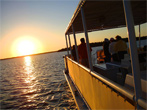 Link naar Sunset Dolphin Cruise Fort Myers.