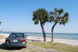 Rental car Florida 2008